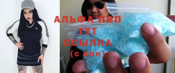 гидропоника Бородино