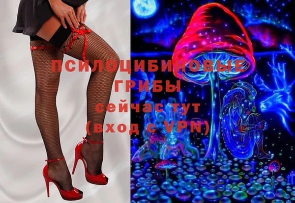 ГАЛЛЮЦИНОГЕННЫЕ ГРИБЫ Бронницы