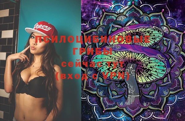 ГАЛЛЮЦИНОГЕННЫЕ ГРИБЫ Бронницы